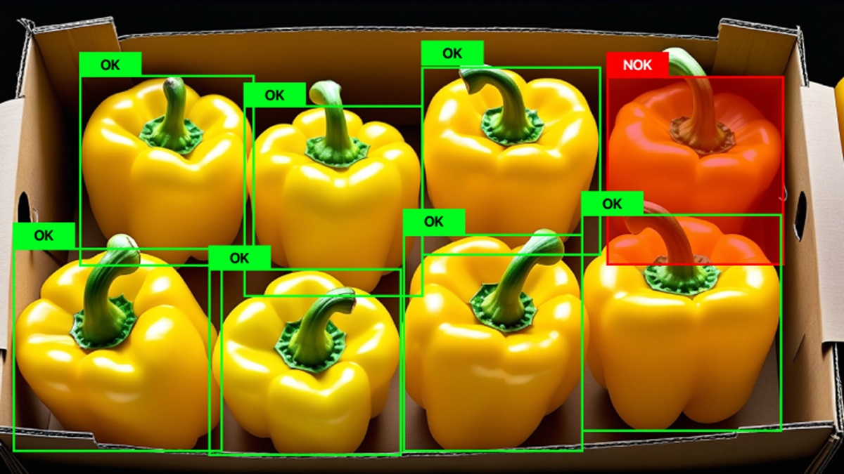 Visión artificial en el sector agroalimentario, eficiencia y control en cada etapa